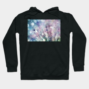 Raindrop Sparkles Hoodie